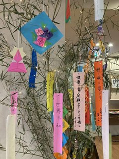 七夕と梶の葉