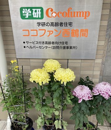 ココファン西鶴間