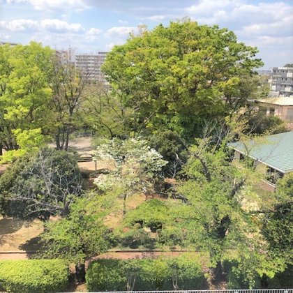 ココファン柏明原