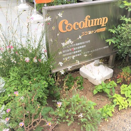 ココファン柏明原