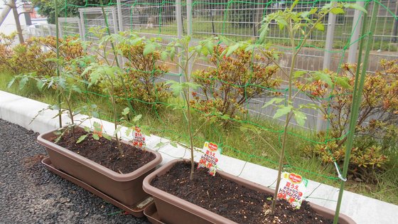 ココファン柏明原弐番館