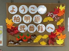 お隣の公園のイチョウ、やっと色づいてきました