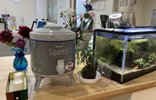 お茶のサービス始めました!