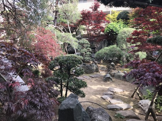 ココファン中浦和