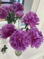 【福岡西新】素敵なお花🌸