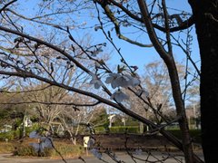 🌸運営懇談会が開催されました🌸