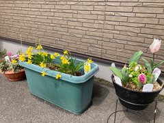 入居ご紹介キャンペーン開催中