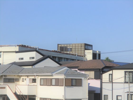 ココファン柏花野井