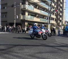 第31回 全国都道府県対抗男子駅伝競走大会❕