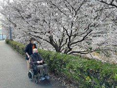 【デイサービス】お花見