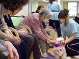 🐶第2回のドッグセラピーの開催🐶