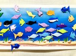 なんぴらアクアリウム大公開!