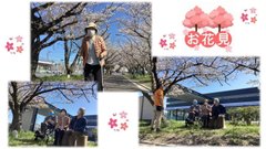 お花見!(看護小規模多機能居宅介護)