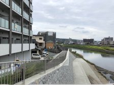 名水百選に選定されている『白川』