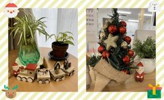 ✨大人気のツリー✨