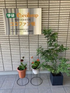 ココファン桂「🌻園芸🌺」
