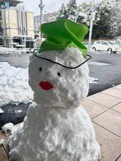 埼玉県でも珍しく雪が積もりました⛄