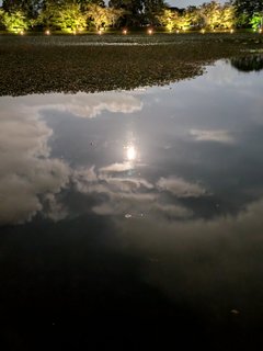 中秋の名月@大覚寺