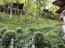 愛宕念仏寺(おたぎねんぶつじ)さん 境内