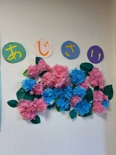 【別府上人】アジサイづくりを楽しみました