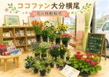 【大分横尾】6/23 お花の移動販売開始!!