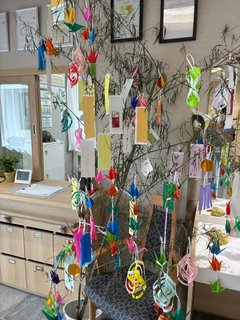 七夕☆彡