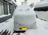 記録的大雪!