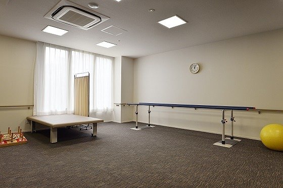 カーサプラチナ草加