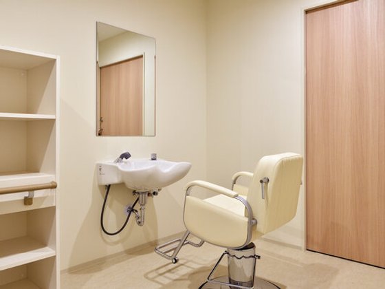 カーサプラチナ草加