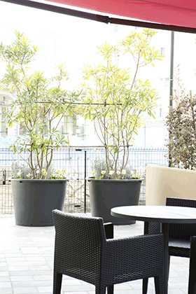 カーサプラチナ日吉