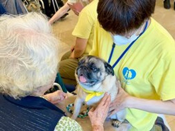 カーサプラチナ日吉