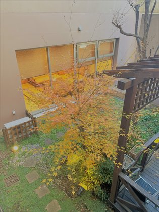 祖師谷ケアパークそよ風