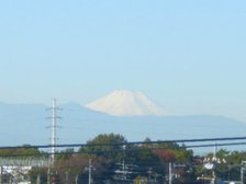 屋上庭園から望む富士山
