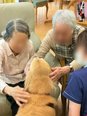 かわいい来訪者との癒しのひと時🐶💕