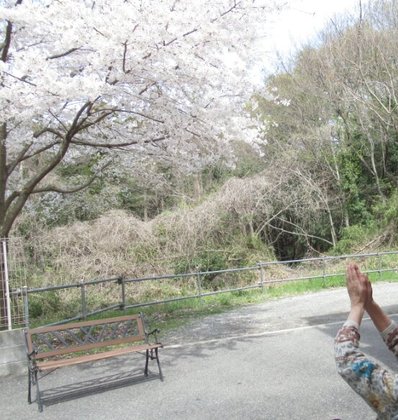 上溝ジョイフルホームそよ風