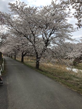 あさかの杜ケアコミュニティそよ風