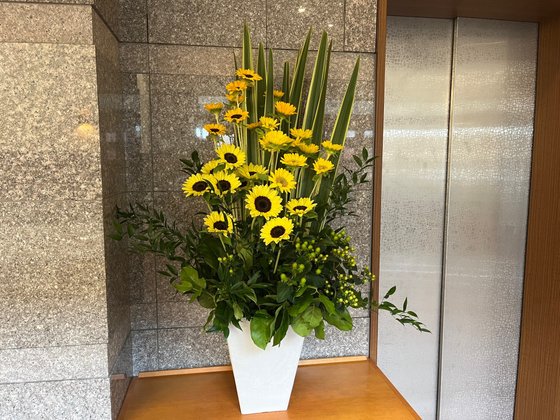 メデカマンション桂