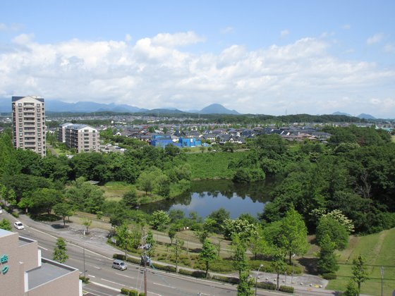 メデカマンション桂