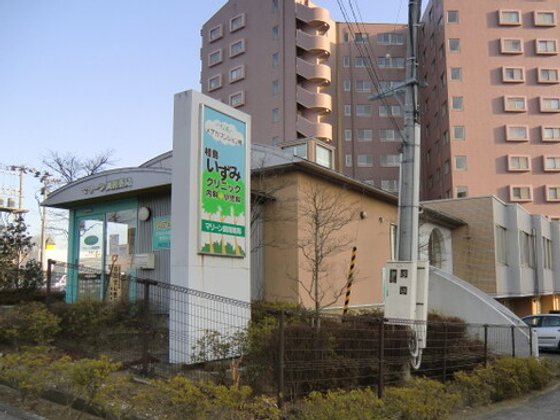 メデカマンション桂