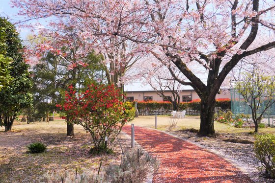 アメニティーライフ八王子