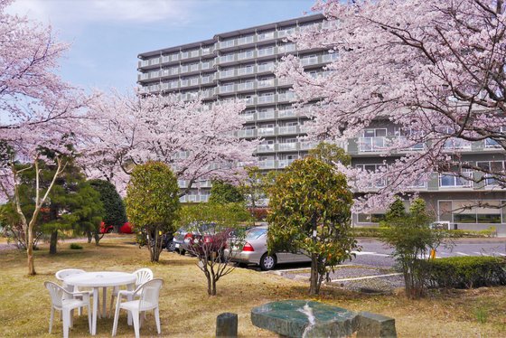 アメニティーライフ八王子