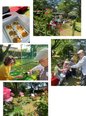 【日々の風景】笑顔広がるお庭で「ガーデニングクラブ感謝の会」を開催!