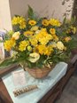 🌼 今週のお花のご紹介 🌼