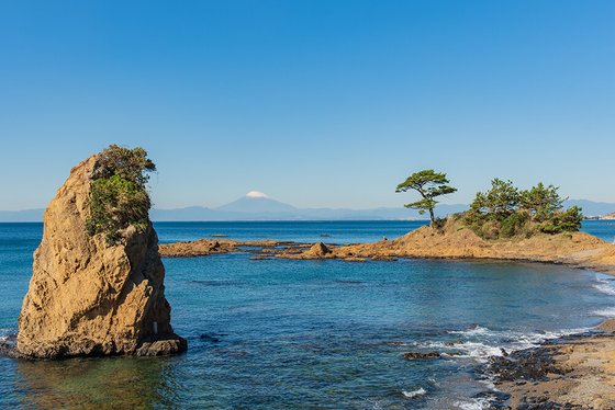 交欒(マゼラン)湘南佐島