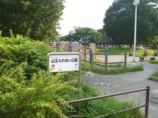 山王ふれあい公園