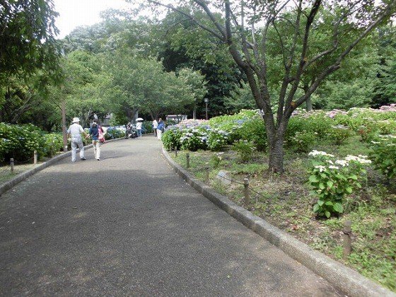 アーバンリビング相模原