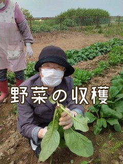 農園のある施設
