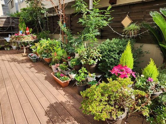 舞浜倶楽部 富士見サンヴァーロ