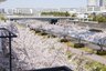 舞浜倶楽部 新浦安フォーラム