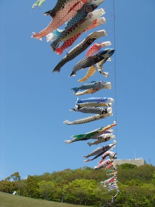 ダイヤモンドライフ森の里